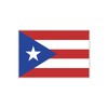 Womaha 30 Sheets Puerto Rico Flag Temporary Tattoos for Kids