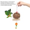 Parrot Cage Shredder Toy Bird Chewing Foraging Shredder Toy for