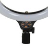 Ring Light 26cm DIA High Brightness Timing LED Selfie Ring