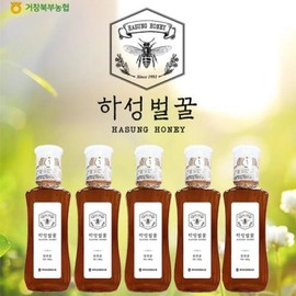 5 bottles of Grade 1 Haseong Honey from Northern Agricultural Cooperative (Miscellaneous Honey) / 북부농협 1등급 하성 벌꿀 5병 (잡화꿀)