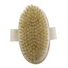 Baluue Bristle Shower Brush for Body Massage Wooden Frame Back