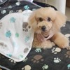 3 Puppy Blankets Super Soft Warm Sleep Mat Grey Print