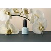 CND Shellac - Morning Dew