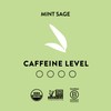 Yogi Tea & Choice Organics Variety Sampler - 16 Bags