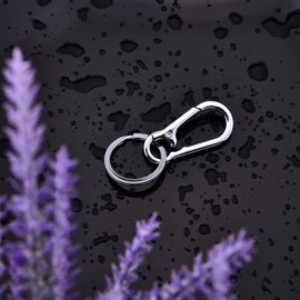 Hapeper Keychain Key Clips Metal Key Ring Key Chain Rings Keyring for Home Car Key Organizer (3, Silver)