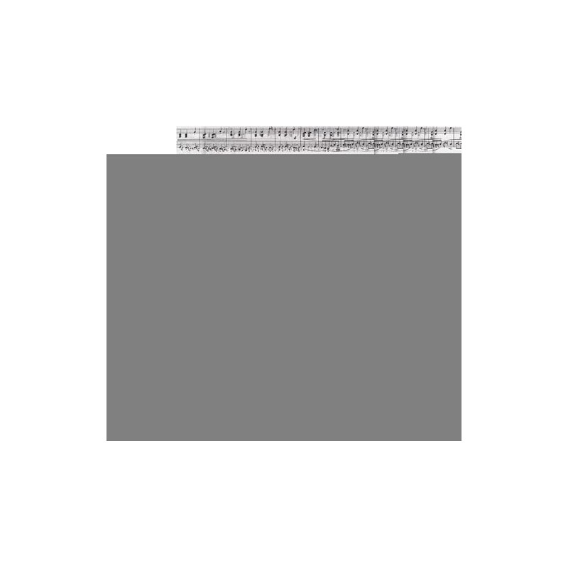 Transparentpapier"Noten", 5 Blatt, DIN A4, 115g/qm