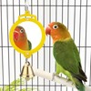 Pet Bird Mirror with Bell Interactive Treat Puzzle Parrot Toy
