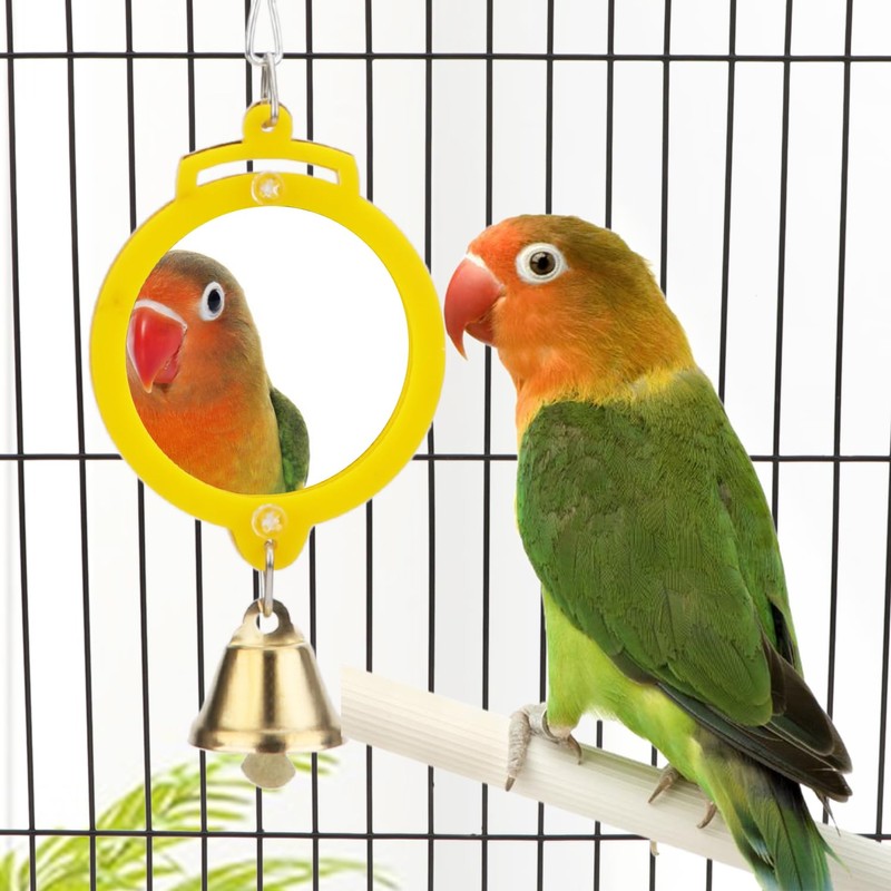 Pet Bird Mirror with Bell Interactive Treat Puzzle Parrot Toy