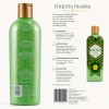 Shampoo Huichol Artesanal De Sabila Anticaida Original 400 ml
