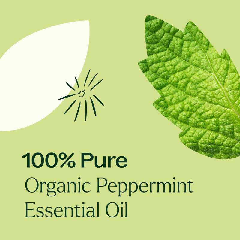 Plant Therapy Organic Peppermint Essential Oil 100% Pure, Pre-Diluted Roll-On,