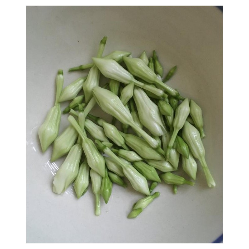 SPECIAL COMBO 20 Loroco Plant Seeds & 20 Seeds Chipilin