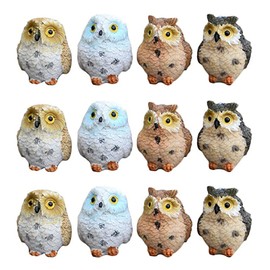 BOLWHAO Feijinmao 12 Pcs Miniature Owl Figurines Resin Fairy Garden Decor Landscape Decoration Mini Accessories, Multicolor