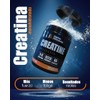 Creatina Monohidratada Micronizada en polvo sin sabor | 300G |