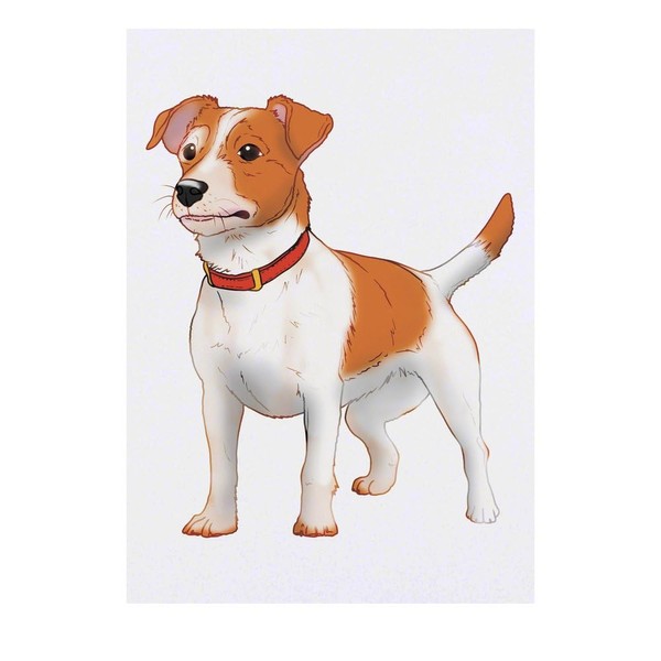 'Jack Russell Terrier' Temporary Tattoo - Water Resistant, Skin-Safe, Non-Toxic