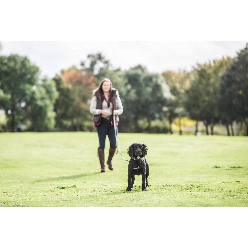 Mikki Dog, Puppy Recall Training Line Lead - Cotton Webbing