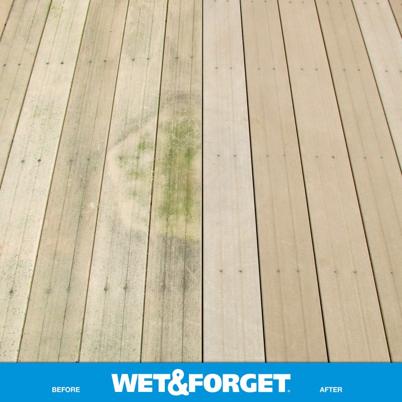 Wet & Forget Outdoor Moss Mold Mildew & Algae Stain