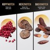 bruno banani Man's Best ‚Äì der 3-in-1 Shower Gel f√ºr
