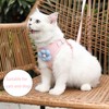 PAPIEEED Puppy Harness & Leash Set, Soft Mesh Padded Cat