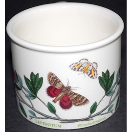 Portmeirion Botanic Garden Breakfast Cup & Saucer Drum Rhododendron