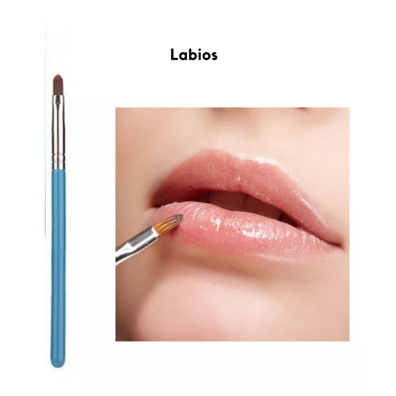 Divina Creacion Set 13 Brochas C/estuche Maquillaje Profesional Suave Pince