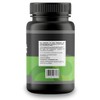 Enzimas Digestivas Suplemento Alimenticio Apoyo a la Digestión, Absorción de