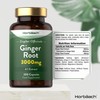 Ginger Capsules 3000mg | 200 High Strength Powder Capsules |