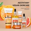 AESTHTANY Vitamin C Skin Care Set Moisturizing Hyaluronic Acid Skin