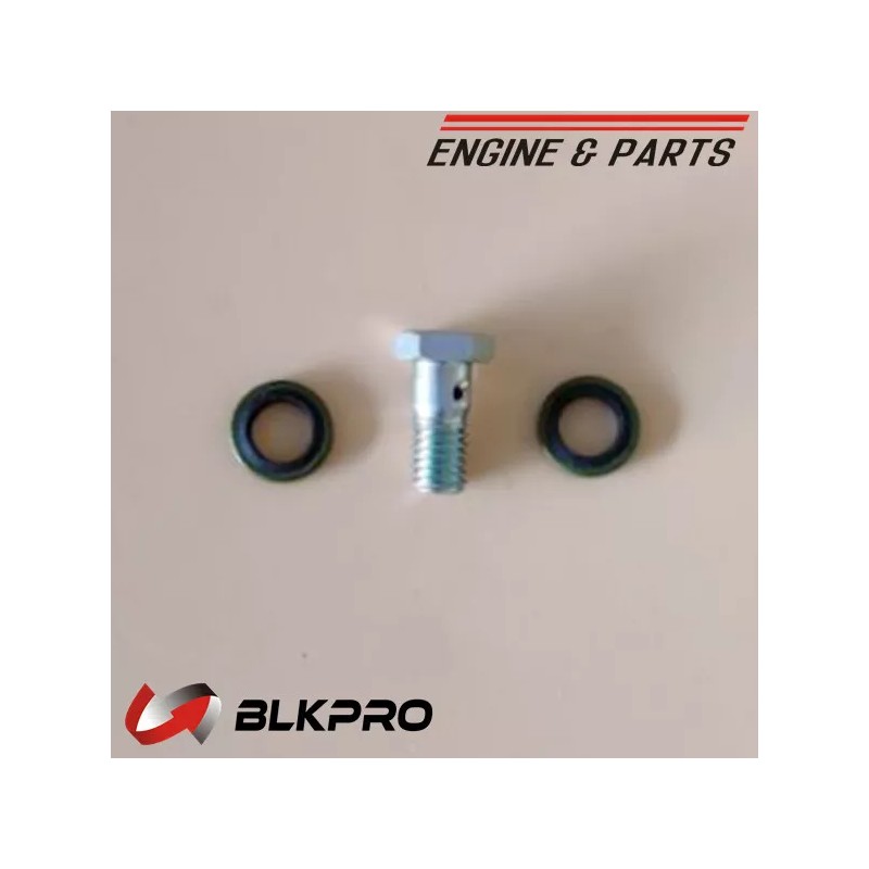 BLKPRO VALVE CHECK Fuel Return Line M8 For cummins Dodge