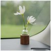 WAYUTO Self-Adhesive Glass Vase with Walnut Stand Removable Car Plant