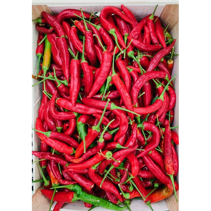 Chili Peppers Peperoncini Preserved in EVOO - Maida Farm, Campania,