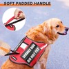 Service Dog Harness and Leash Set, Training Dog Vest with