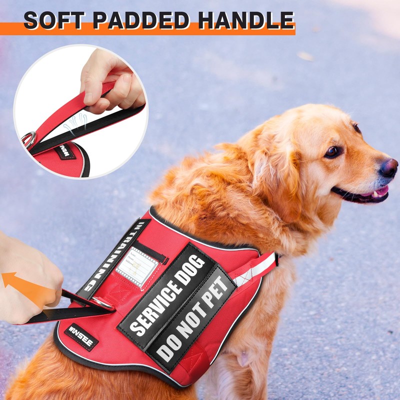 Service Dog Harness and Leash Set, Training Dog Vest with