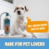 Bio-Groom Wiry Coat Dog Shampoo - Tearless, Bathing Supplies, Puppy