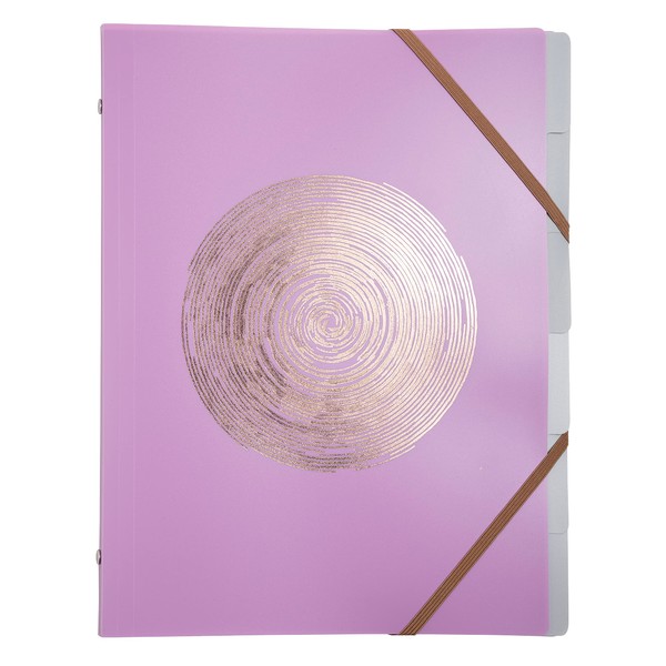 Exacompta 56890E Premium Folder Ellipse Recycled Plastic with 6 Compartments