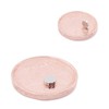 Brudazon 60 Mini Disc Magnets 3 x 1 mm N52