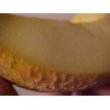 PACOS CANTALOUPE SWEETEST MELON WORLD KNOWN 300 SEEDS PECOS CANTALOUPE