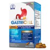 LABO Nutrition GASTRICELL - Acid Reflux, Heartburn, Recurring Gastric Discomfort,