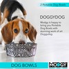 MODGY Collapsible Dog Food Bowl Dish, Reusable, Plastic Travel Size,