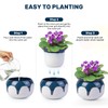 LITUDISO African Violet Pots, 6 Inch Self Watering Pots for