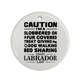 Labrador Ornaments - Labrador Retriever Gifts, Funny Dog Gifts for Dog Lovers, Dog Mom Gifts for Women, Dog Gifts for Owners, Dog Decorations for The Home, Dog Room Decor, Dog Decor 889-BH