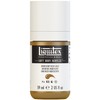 Liquitex Acrylic Paint, Iridescent Rich Gold, 59 ml (Pack of