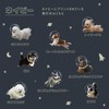 [2025] Parasol Flying Dog x Wpc. Space Flight Dog Light