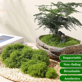 ZZBEARRQI 1.76 Oz Fake Moss for Indoor Plants, Faux Moss Decor for Art Landscape, Gardening DIY Projects (Dark Green)