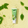 Dabur Organic Basil Toothpaste for Fresh Breath 100ml - Natural