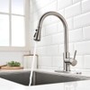 Brushed Nickel Kitchen Faucets with Pull Down Sprayer Kitchen Sink