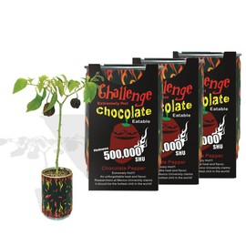 Very Hot Chocolate Habanero Pepper Growing Kit by Magic Plant - All Inclusive Kit | Grow Your Own Peppers | 1 M – 1.5 M SHUs | Great for Indoor/Outdoor | Gift (2 Kits)
