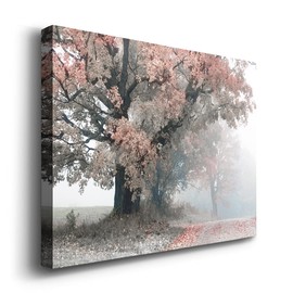 Renditions Gallery Forest Wall Art for Living Room Bathroom Bedroom Kitchen, Magical Middle Earth Nature Pictures Landscape Wall Décor Ready to Hang Modern Canvas Home Decoration 24" H x 36" W