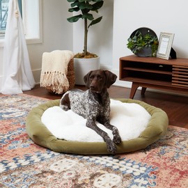 Murphy Dog Bed