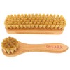 DELARA Two Small Wooden Handled Brushes With Natural Bristles, 1