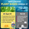 Vegan Omega 3 Gummies for Adult 40+: 1280mg Omega-3 Fatty